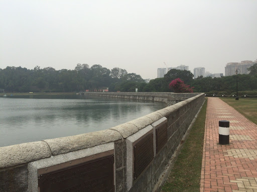 MacRitchie Reservoir Park