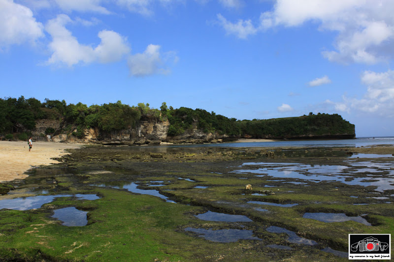 Rock pools
