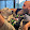 Chris Collins Chris Collins's profile photo
