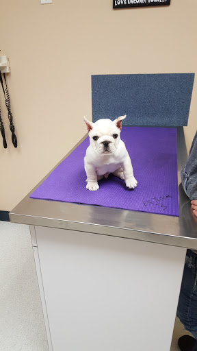 Animal Hospital «Plymouth Veterinary Clinic», reviews and photos