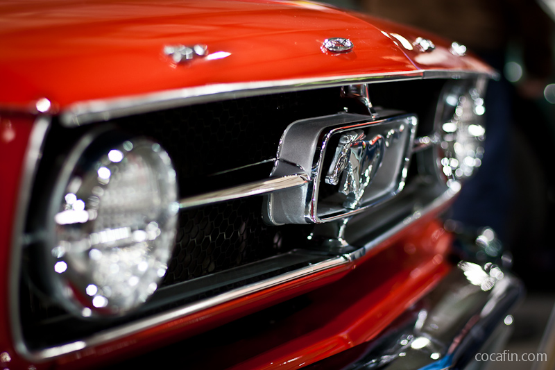 Czerwony Mustang