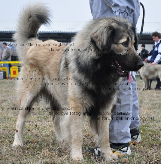 DSC_0106rw.JPG