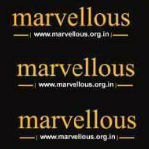 Marvellous entertainment, B4 Opposite Shiv Shakti Mandir, Jivan Park, Janakpuri west, New Delhi, Delhi 110058, India, Entertainment_Agency, state DL