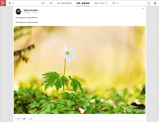 https://lh6.googleusercontent.com/-hOVS8YmgZtg/UZYia2oB_OI/AAAAAAABmEM/AAxEE9c-NYY/google_plus_full_width_photo-4.0.gif