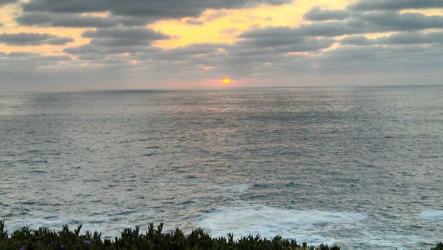 Cover photo