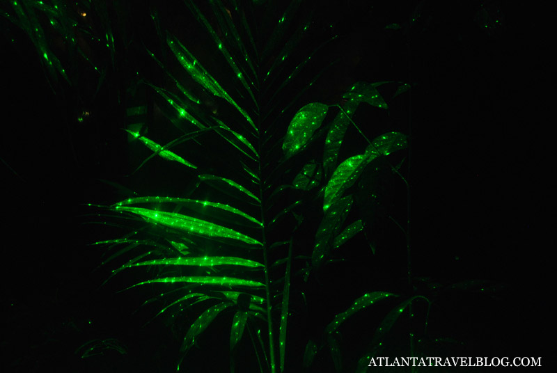 Atlanta Botanical Garden Lights