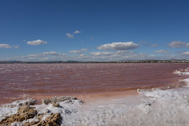 Laguna Salada de Torrevieja