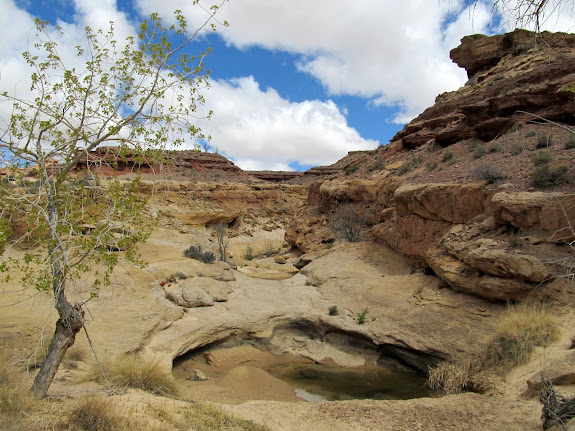 Potholes near a junction in the canyon, where I went left