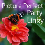 Projektbutton Linkparty Picrure Perfect von abooksandmore.blogspot