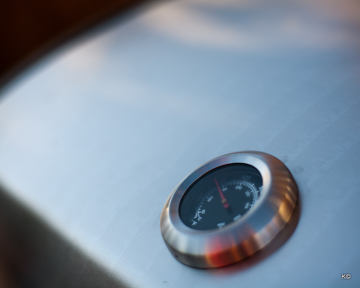 IMAGE: https://lh6.googleusercontent.com/-hWyLuaYEE5g/UCBuVc_oehI/AAAAAAAAc7E/drJv9ESYoHU/s700/_MG_7629.JPG