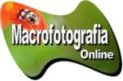 Macrofotografia Online