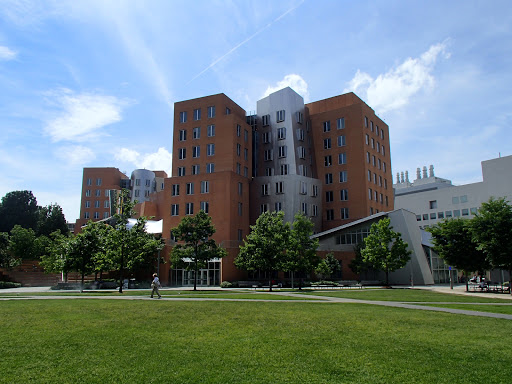 Stata Center Frank Gehry