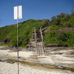 Timber steps up and out of Caves Beach (387302)