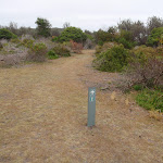 Arrow marker along the grassed headland (108295)