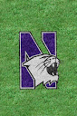 Northwestern%252520Wildcats%252520Grass.jpg