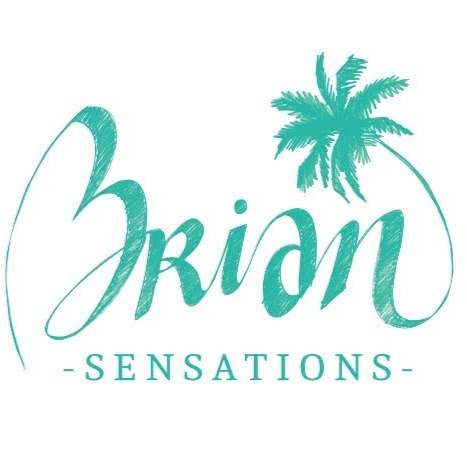 Ecole de kite et wing, Brian sensations logo