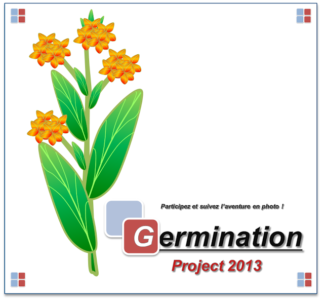 Germination Project 2012_2013 - Page 2 Nouvelle%2520image