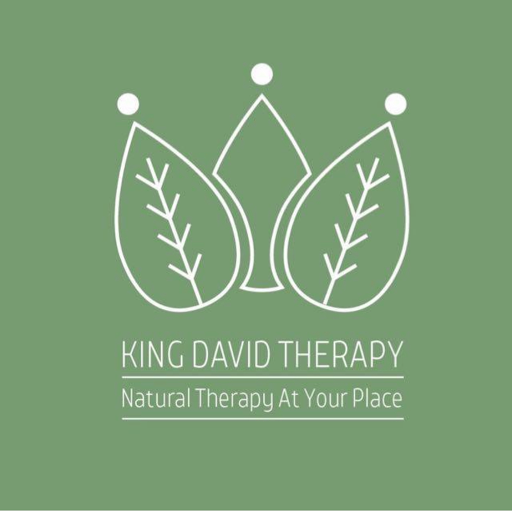King David Therapy - Mobile Spa - Brickell Downtown logo