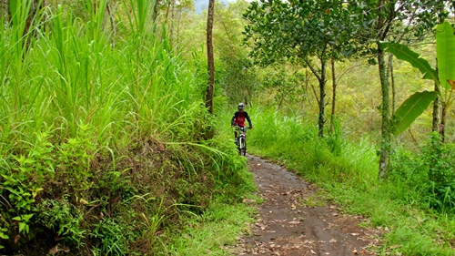 Inilah sedikit gambaran tentang track kami yang sudah memasuki Hutan Wisata Coban Rondo.