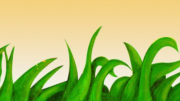 Cover photo