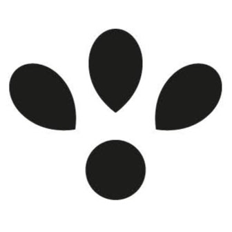Berner Diakonissen logo