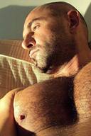 Lovely Hot Hairy Daddy Bear Hunks