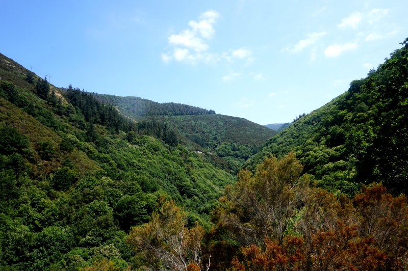 Ruta del Agua (Taramundi) - Descubriendo Asturias (33)