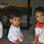 Photo de la galerie "Sri Lanka"