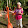 Steph B Steph B's profile photo