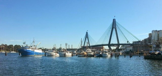 ANZAC Bridge. From Sydney on Foot: The Three Bridges Walk