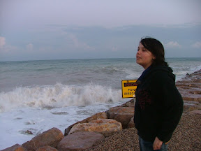Picasa