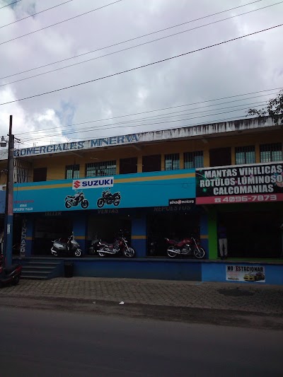 Photos of Suzuki Barberena
