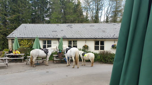 The Green Dragon Inn