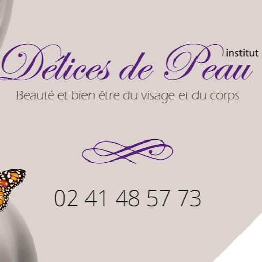 Delices De Peau Institut logo