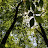 Madhura Kadaba avatar image