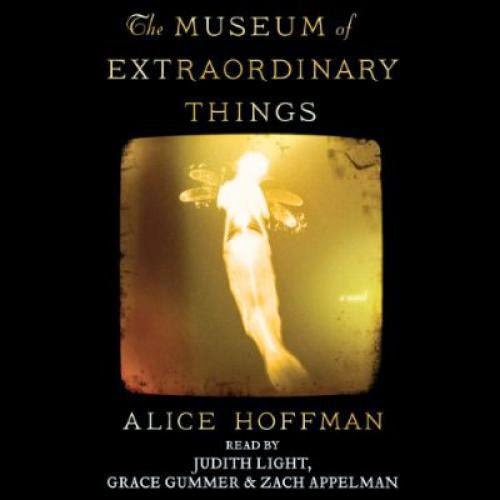 Download Pdf The Museum Of Extraordinary Things A Novel