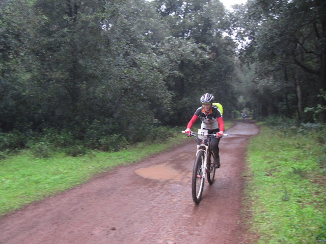 6h%2520040.jpg