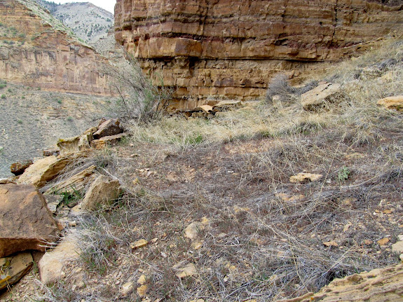 Pit house remains