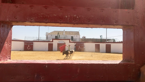El Toruño