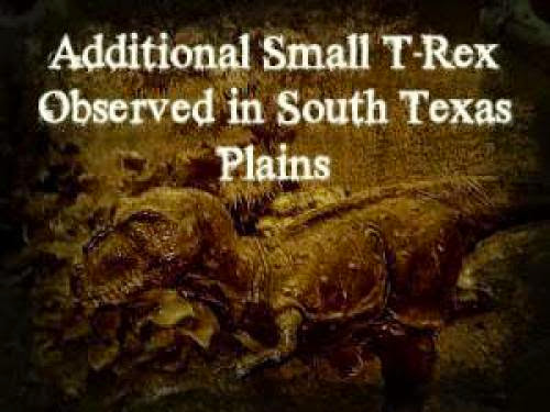 Additional Small T Rex Observed In South Texas Plains