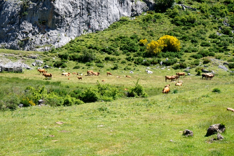 Lago del Valle (PN Somiedo) - Descubriendo Asturias (11)