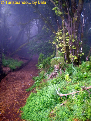 Senderismo en el Parque Rural de Anaga Senderos Poesia Anaga, Tenerife