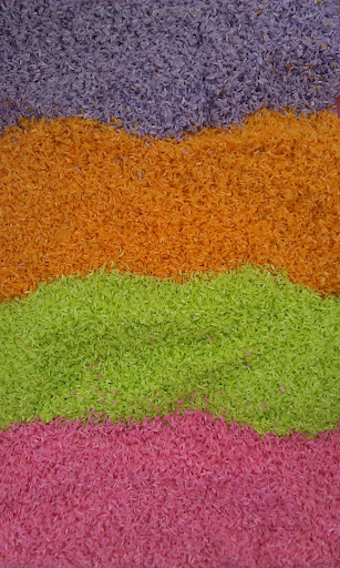 Colored rice