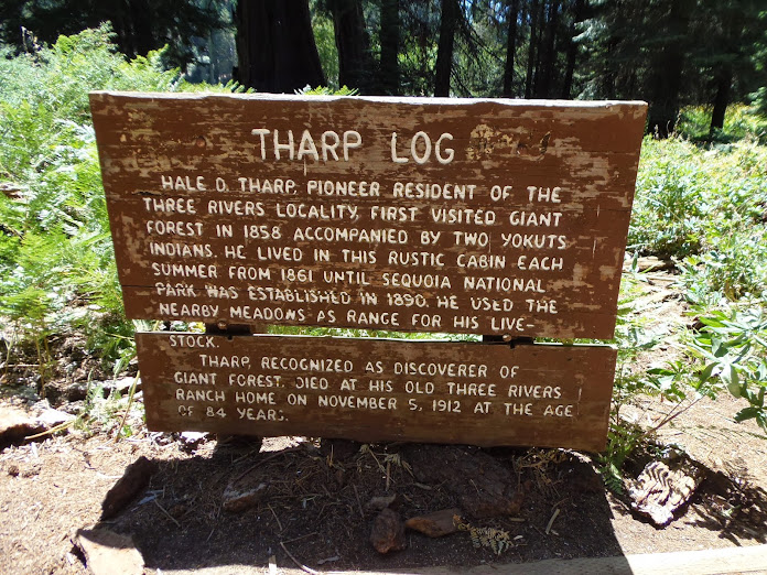 CALIFORNIA 2013 - Blogs de USA - 13 AGOSTO: BAKERSFIELD-SEQUOIA NP (3)