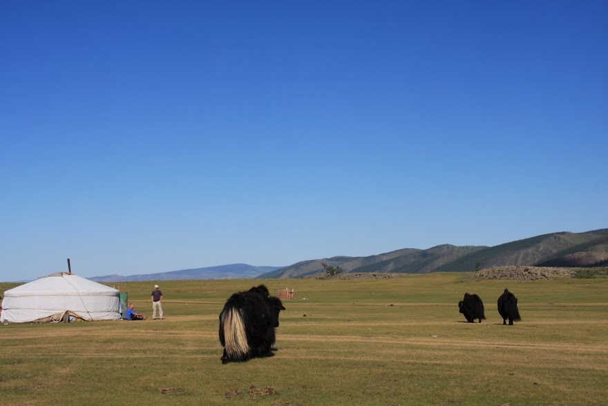 Visitar as quedas de água e paisagens do PARQUE NACIONAL DO RIO ORKHON | Mongólia