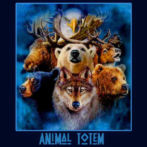 Animal Totems How To Find Yours