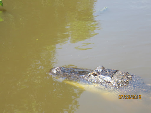 Jean Lafitte National Historical Park and Preserve
