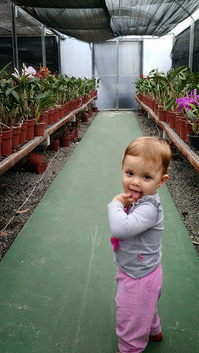 Orquidário Durigan