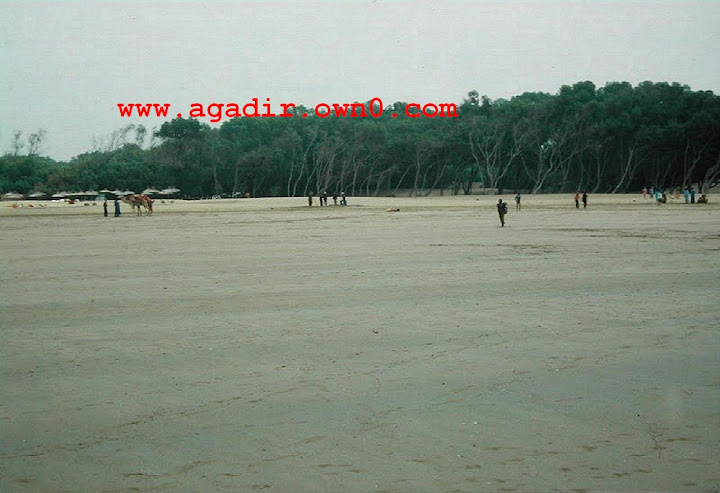 شاطئ اكادير قبل وبعد الزلزال سنة 1960 Ytuytryr