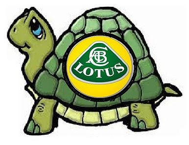 TURTLE2.jpg